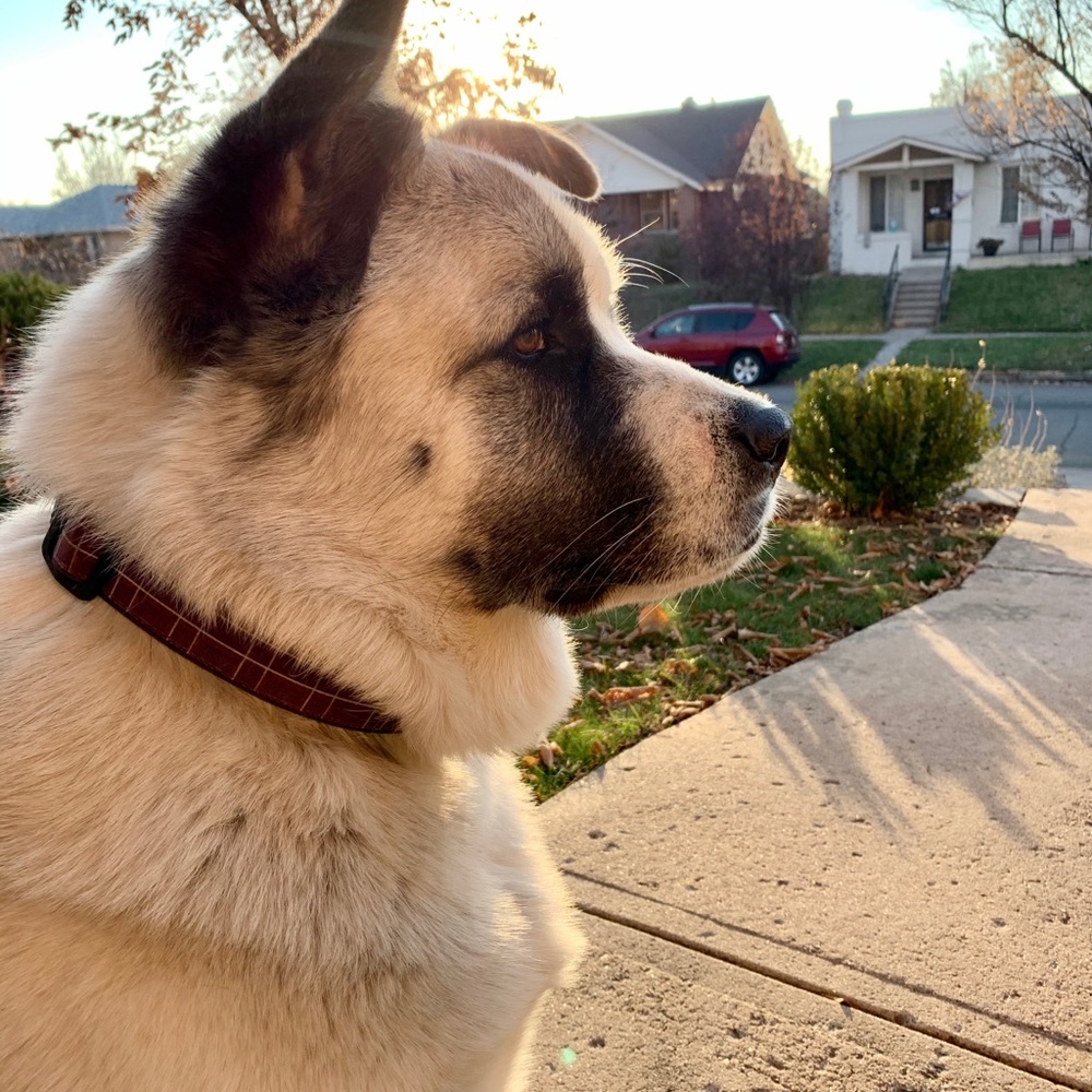 Meet your Posher, Kristi